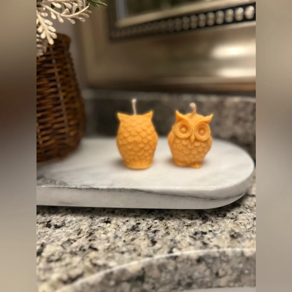 Owl set - Pumpkin Spice